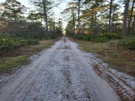 Cedar Key Highlands: Px8 px8
