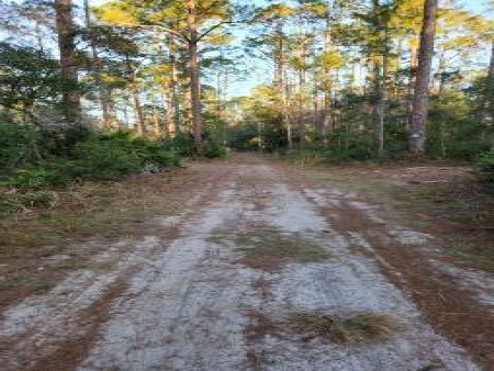 Cedar Key Highlands