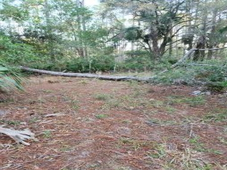 Cedar Key Highlands: Px3 px3