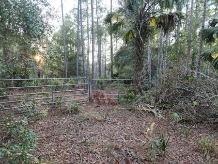Cedar Key Highlands: Px2 px2