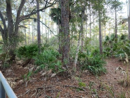 Cedar Key Highlands: Px4 px4