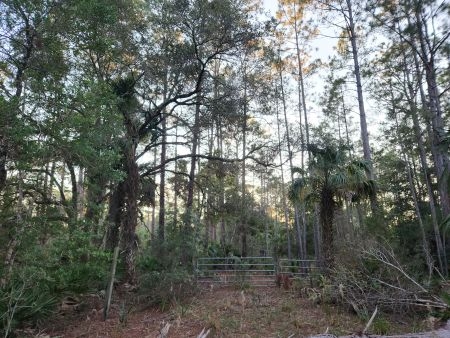 Cedar Key Highlands: Px7 px7