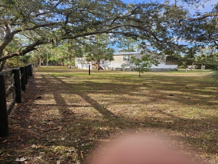 Taylor 4/3 on pond in Suwannee Gardens