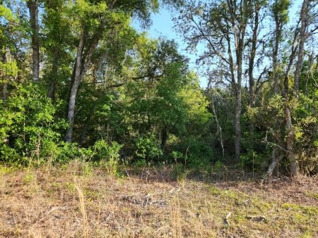 TBD NE 65th Street
