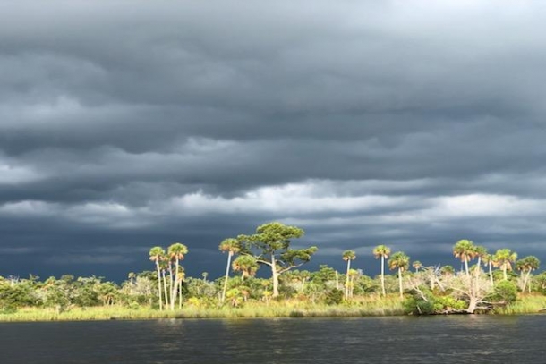 The Sandbar
